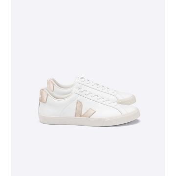 Women's Veja ESPLAR LEATHER Sneakers White/Brown | SG 606TCE